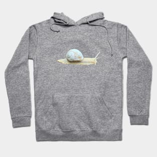 Snail Hoodie